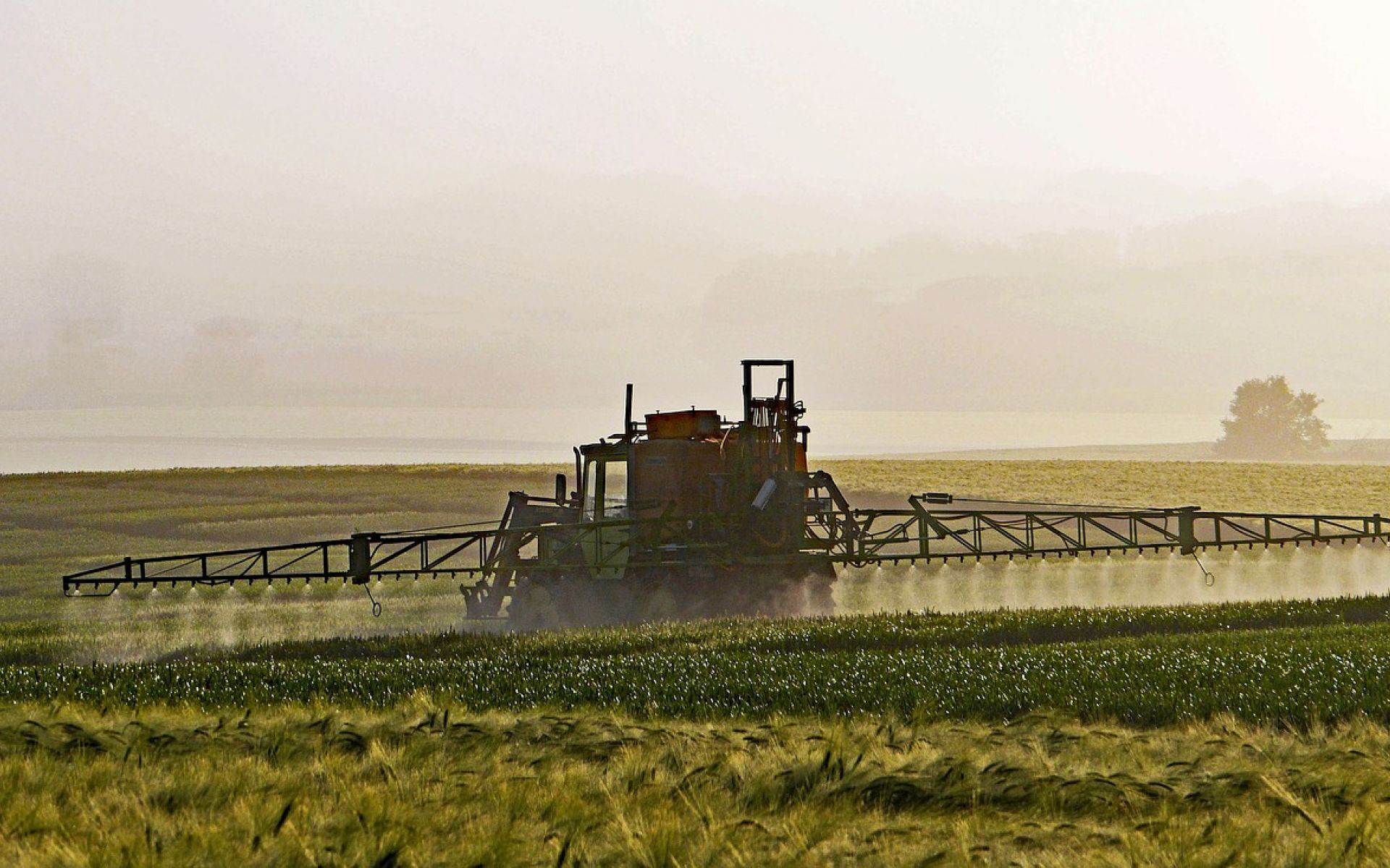 Traktor spritzt Glyphosat auf Feld